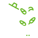 Harvest Optimization