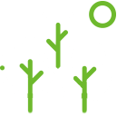 Zero Pesticide Residue