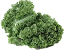 Kale