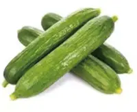 Cucumber