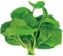 Wood ear lettuce