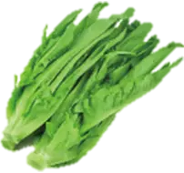 Bok choy
