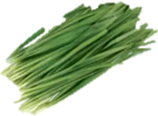 Chives